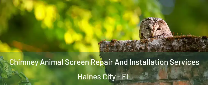  Chimney Animal Screen Repair And Installation Services Haines City - FL