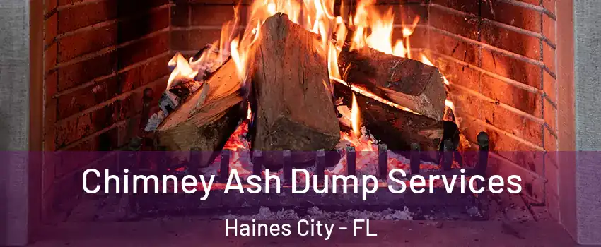  Chimney Ash Dump Services Haines City - FL