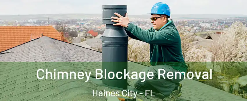  Chimney Blockage Removal Haines City - FL