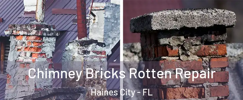  Chimney Bricks Rotten Repair Haines City - FL