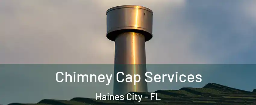  Chimney Cap Services Haines City - FL