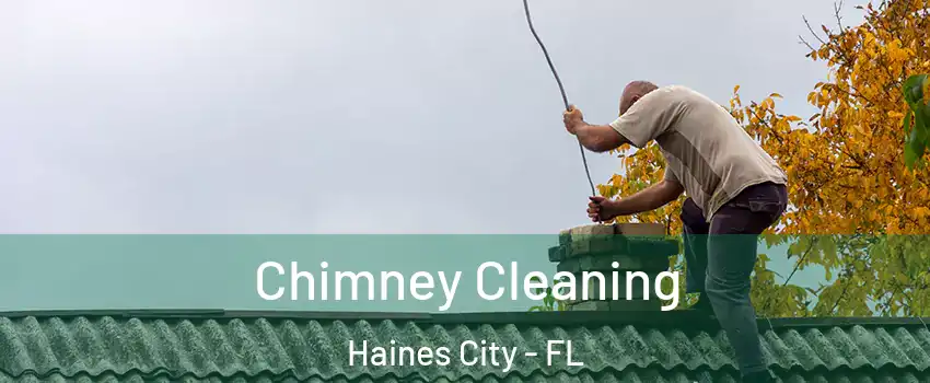  Chimney Cleaning Haines City - FL