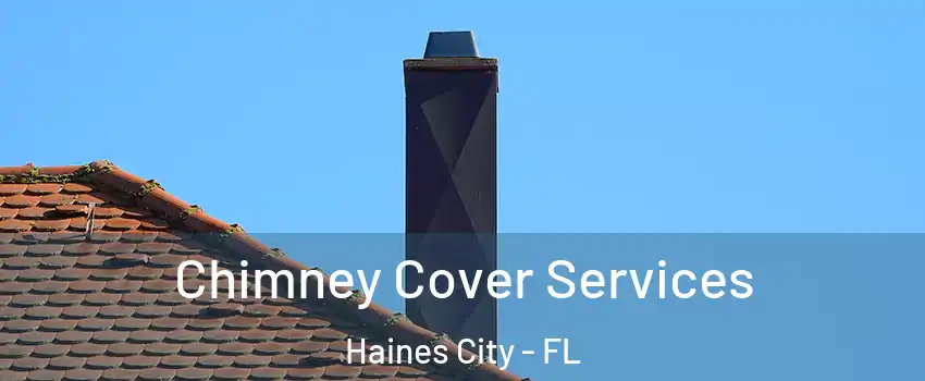  Chimney Cover Services Haines City - FL