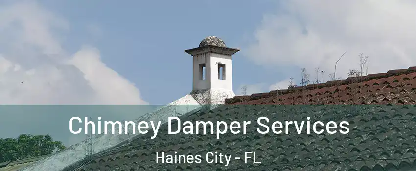  Chimney Damper Services Haines City - FL