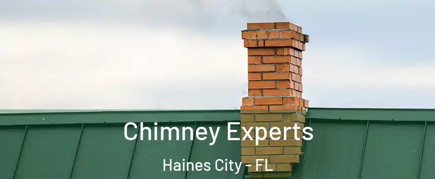 Chimney Experts Haines City - FL