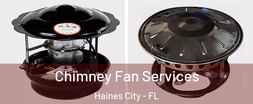  Chimney Fan Services Haines City - FL