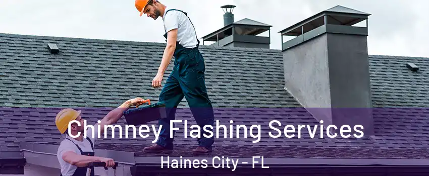 Chimney Flashing Services Haines City - FL