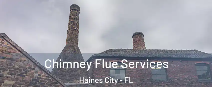 Chimney Flue Services Haines City - FL