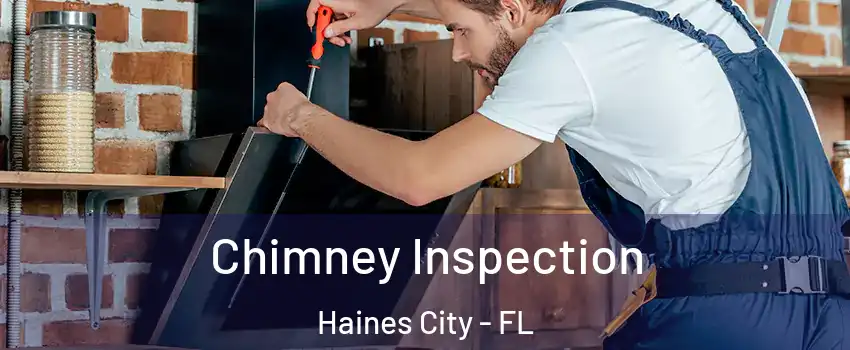  Chimney Inspection Haines City - FL