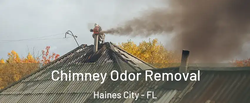  Chimney Odor Removal Haines City - FL