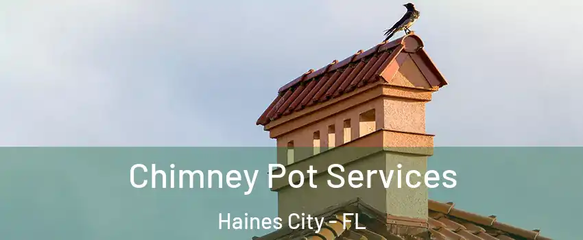  Chimney Pot Services Haines City - FL