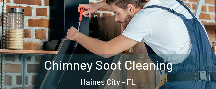 Chimney Soot Cleaning Haines City - FL