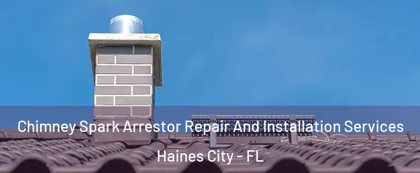  Chimney Spark Arrestor Repair And Installation Services Haines City - FL