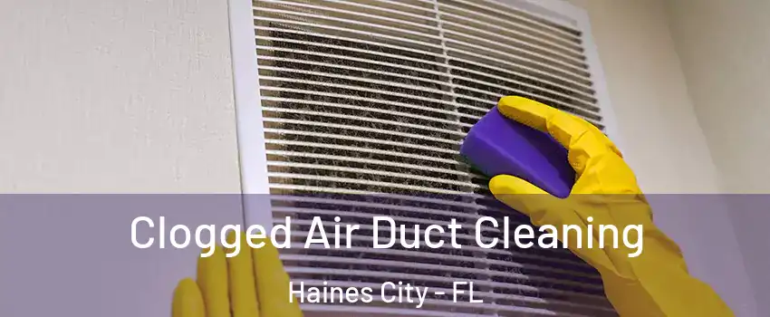  Clogged Air Duct Cleaning Haines City - FL