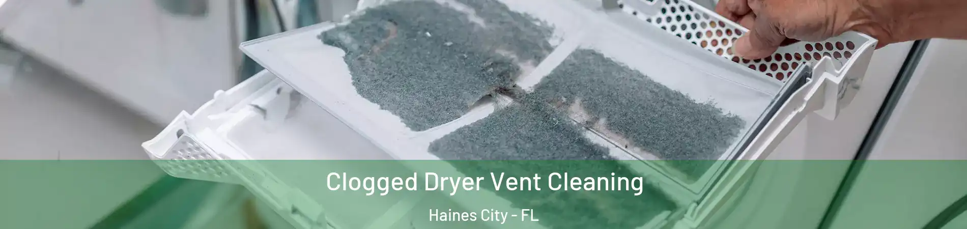  Clogged Dryer Vent Cleaning Haines City - FL