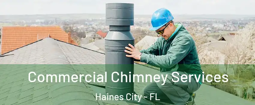  Commercial Chimney Services Haines City - FL