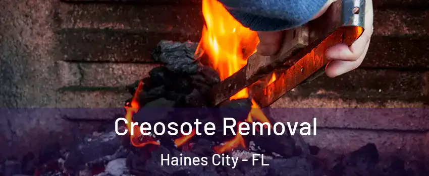 Creosote Removal Haines City - FL