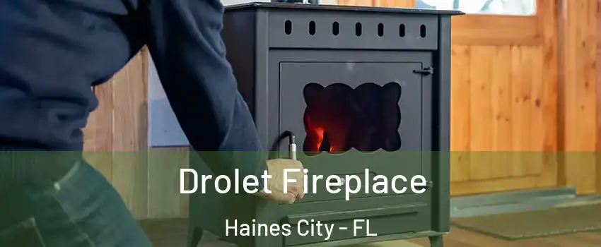  Drolet Fireplace Haines City - FL