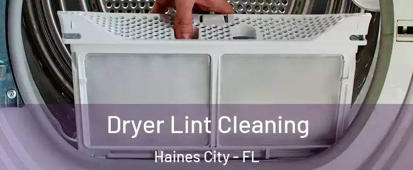  Dryer Lint Cleaning Haines City - FL