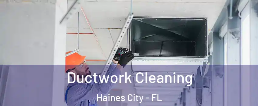  Ductwork Cleaning Haines City - FL