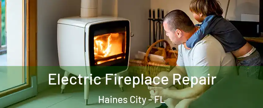  Electric Fireplace Repair Haines City - FL