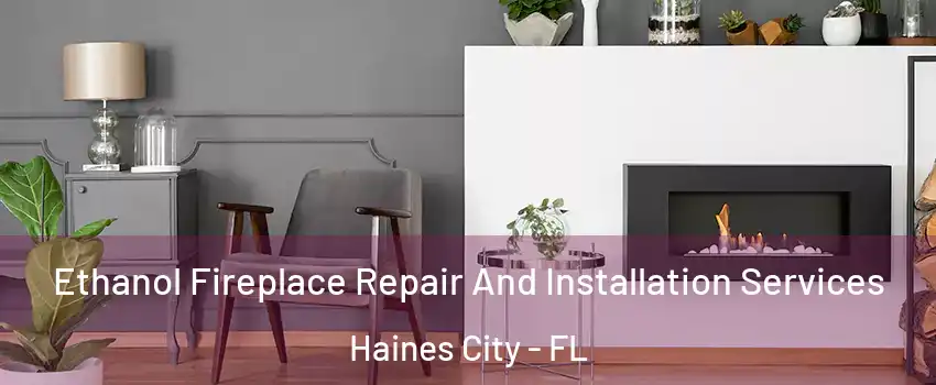  Ethanol Fireplace Repair And Installation Services Haines City - FL