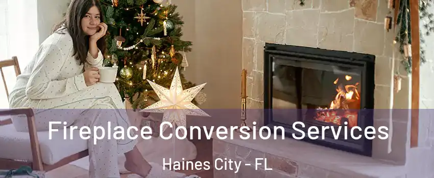  Fireplace Conversion Services Haines City - FL