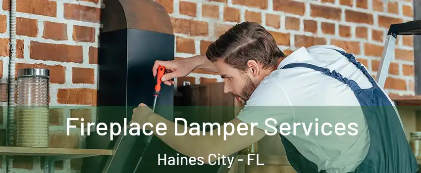  Fireplace Damper Services Haines City - FL