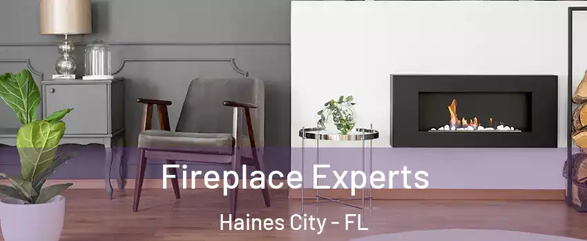  Fireplace Experts Haines City - FL