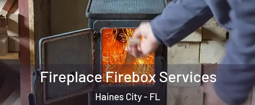  Fireplace Firebox Services Haines City - FL