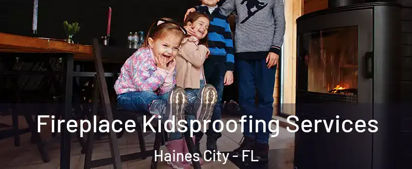  Fireplace Kidsproofing Services Haines City - FL