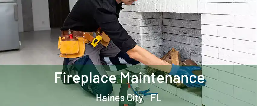  Fireplace Maintenance Haines City - FL