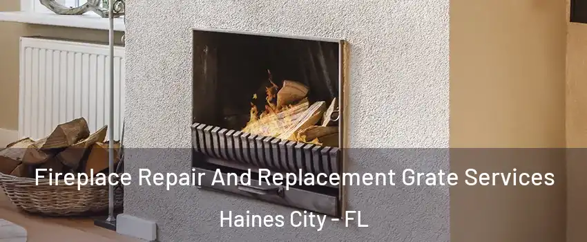  Fireplace Repair And Replacement Grate Services Haines City - FL