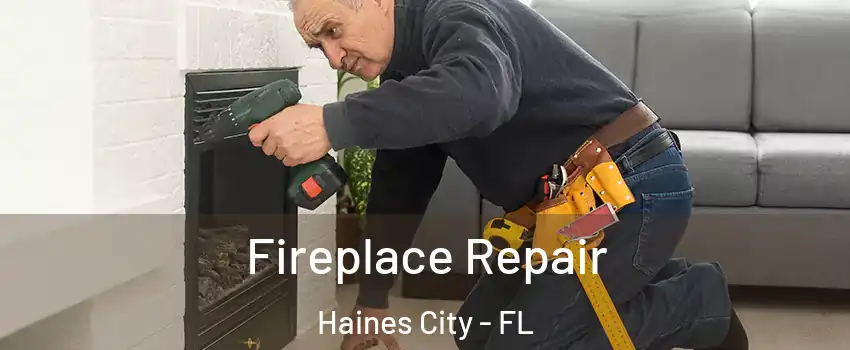  Fireplace Repair Haines City - FL