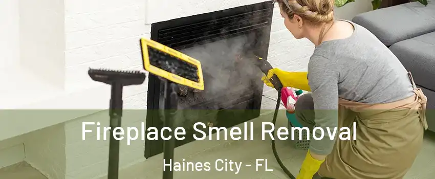  Fireplace Smell Removal Haines City - FL