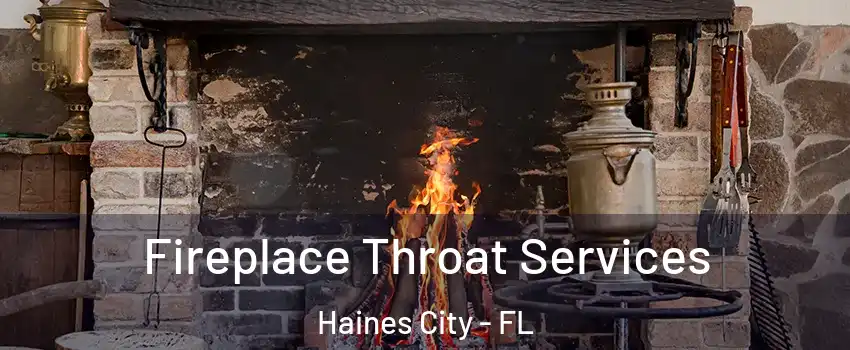  Fireplace Throat Services Haines City - FL