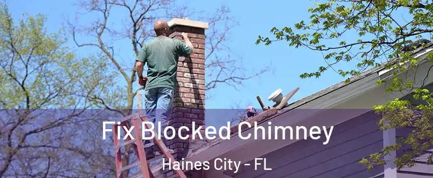  Fix Blocked Chimney Haines City - FL