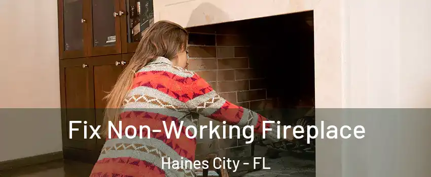  Fix Non-Working Fireplace Haines City - FL
