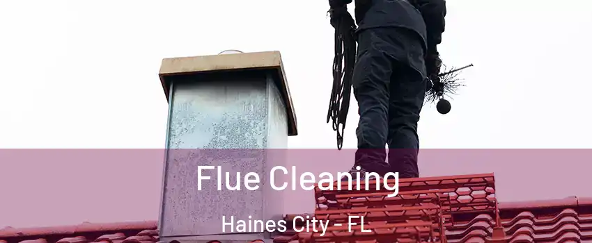  Flue Cleaning Haines City - FL