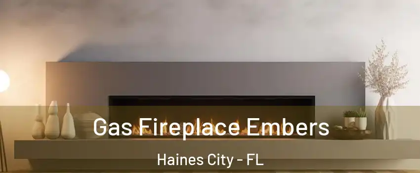 Gas Fireplace Embers Haines City - FL