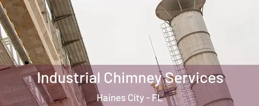  Industrial Chimney Services Haines City - FL
