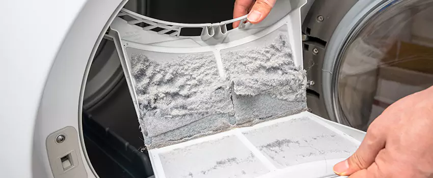 Best Dryer Lint Removal Company in Haines City, Florida