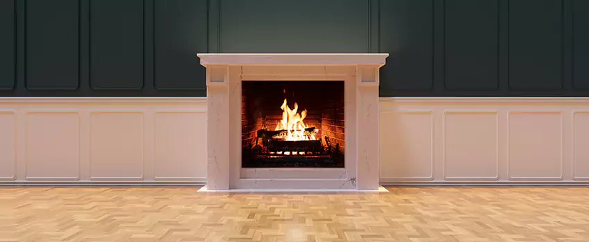 Napoleon Electric Fireplaces Inspection Service in Haines City, Florida