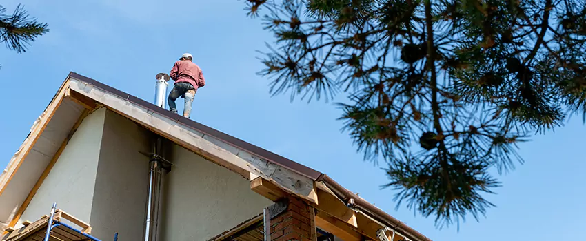 Birds Removal Contractors from Chimney in Haines City, FL