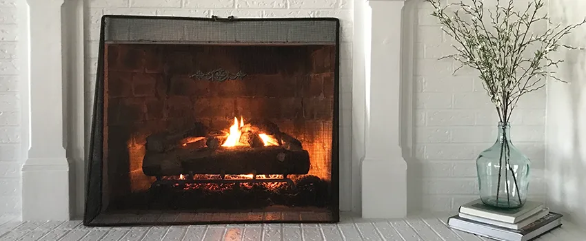 Cost-Effective Fireplace Mantel Inspection And Maintenance in Haines City, FL