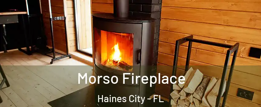  Morso Fireplace Haines City - FL