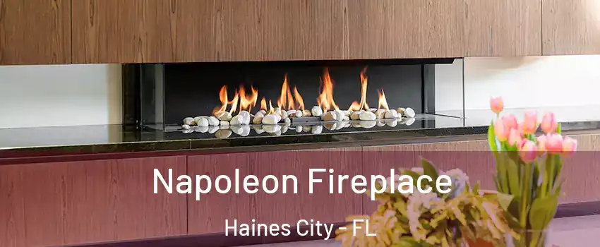  Napoleon Fireplace Haines City - FL