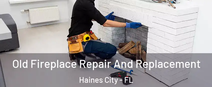  Old Fireplace Repair And Replacement Haines City - FL