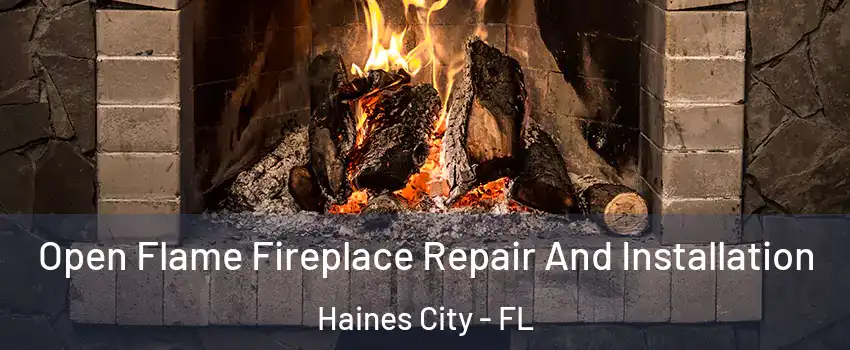  Open Flame Fireplace Repair And Installation Haines City - FL