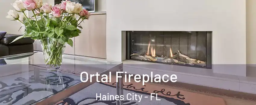 Ortal Fireplace Haines City - FL
